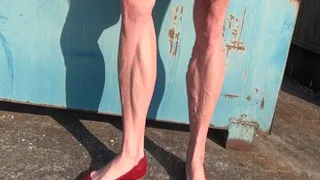 Red flats and calves