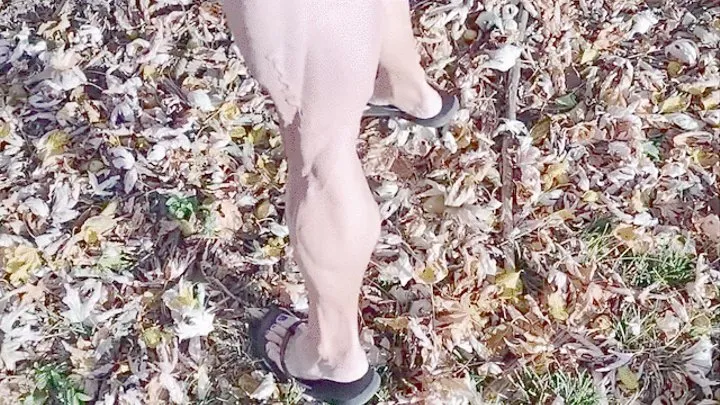 Tempest in flip flops walking in leaves