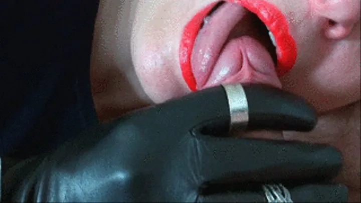 X Lips, Leather & Cum 2017 03 10