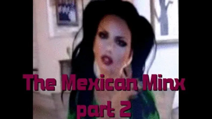 The Mexican Minx: Part 2