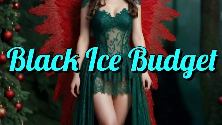 Black Ice Budget