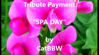 Tribute & Donate to ME ~ towards a SPA DAY