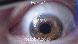 Eye UP CLOSE with Blinking and Staring #1