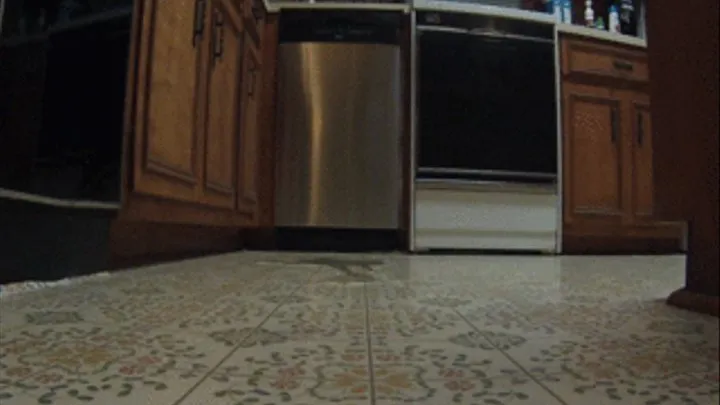 Ashley Slipping and Stuck in More Vegetable Oil (FloorCam)