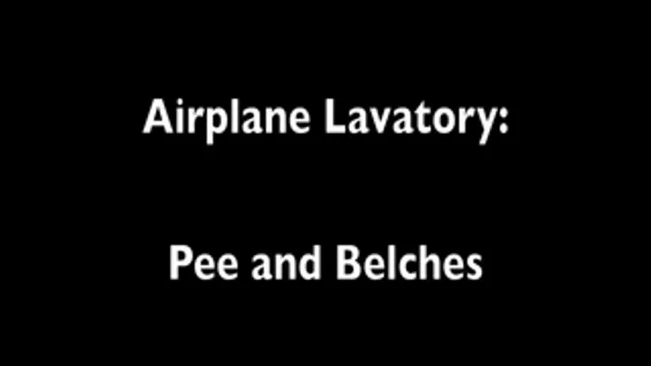 Belching in the Airplane Lavatory