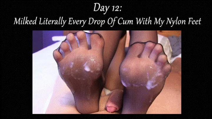 Day 12: Drained Literally Every Last Drop of Cum With My Nylon Feet