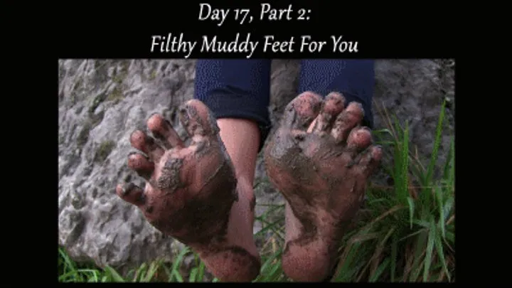 Day 17, Part 2: Filthy Muddy Feet For You