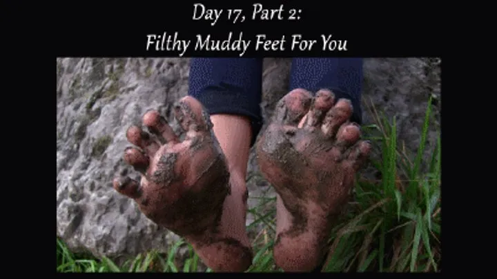 Day 17, Part 2: Filthy Muddy Feet For You! (FullHD )