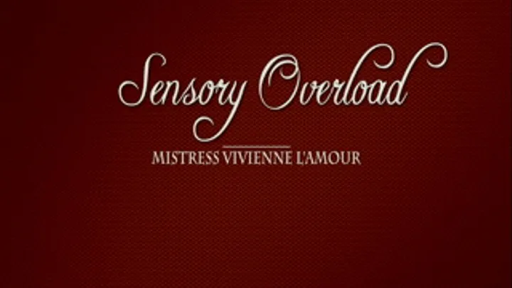 Masturbating in a Coffin, Vivienne L'Amour