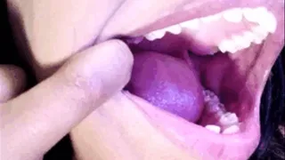 Mouth tour