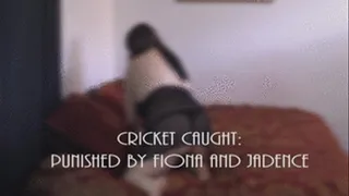 Cricket Caught 2: Punished by Fiona and Jadence