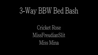 3Way BBW Bed Break