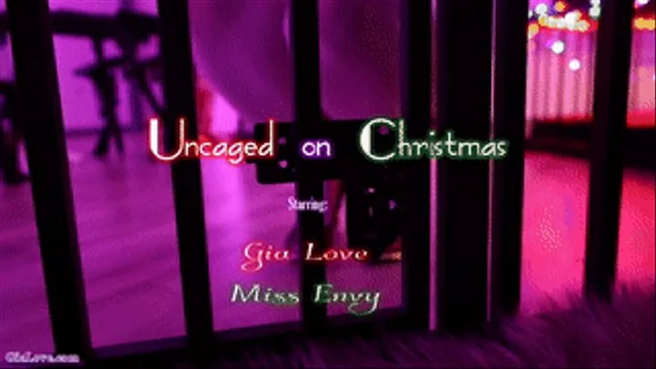 Uncaged on Christmas