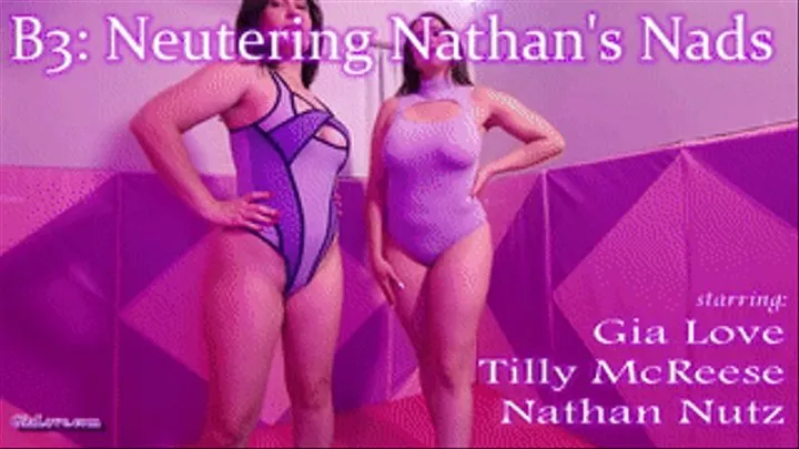 B3 Neutering Nathans Nads