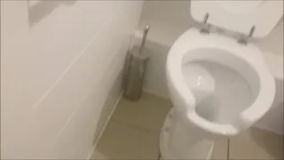 Public farts in a public toilet