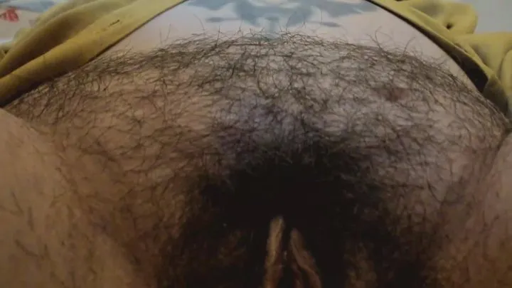 Mega hairy pussy exploration