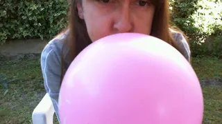 Hot balloons in the garden