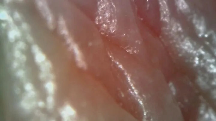 Microscope or endoscope? Sensational farts in a Vore edition inside my ass