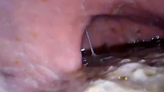 Lots of sushi and exploration Microcamera - Extreme Vore video