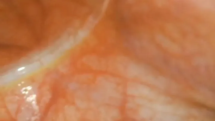 Endoscopic journey into my wet pussy in very with asmr trigger sounds 4K