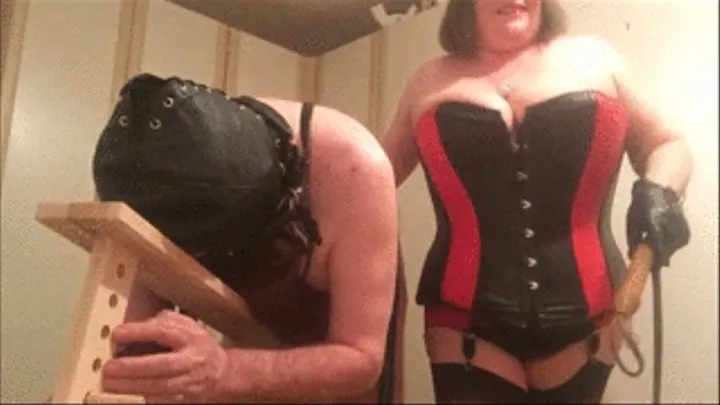 Mistress Em gives slave Dogwhip and Martinets part 3