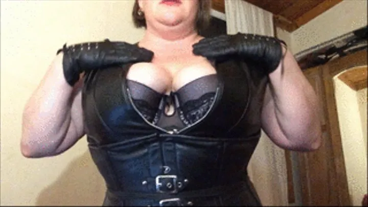 POV Worship Mistress Em's breasts