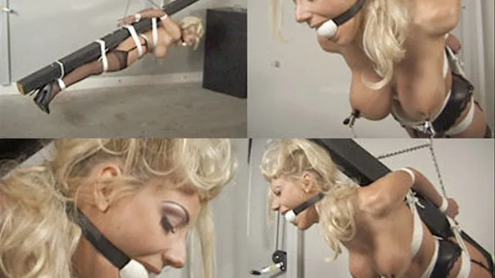 Brittany Andrews jev83 scene 5