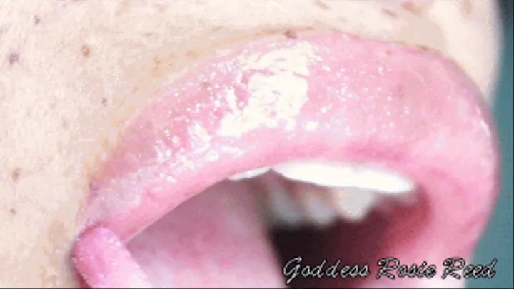 UP CLOSE: Lipgloss- Goddess Rosie Reed Lipstick Fetish Close Up With Lip Gloss Application- Ebony Mouth Fetish- standard definition