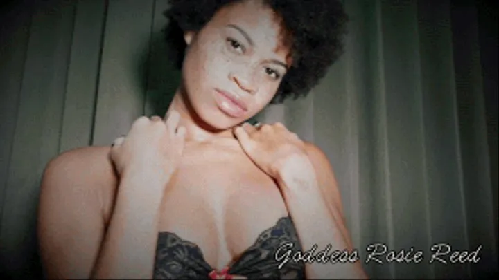 Slave White Boy For Ebony Goddess Rosie