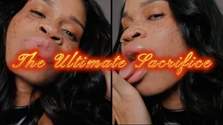 The Ultimate Sacrifice- Ebony Femdom Goddess Rosie Reed Cum Eating Instruction Homewrecking Mesmerize Face Fetish POV Wife Humiliation- standard definition