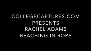 Rachel Adams: Beach hogtie