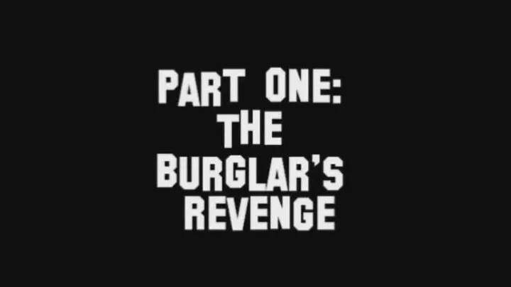 The Burglars Revenge