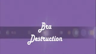 Bra Destruction