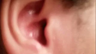 Ebony Ear Tour and Cleaning