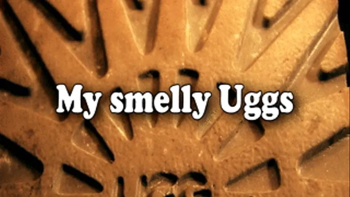 Sniff My Smelly Uggs