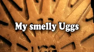 Sniff My Smelly Uggs