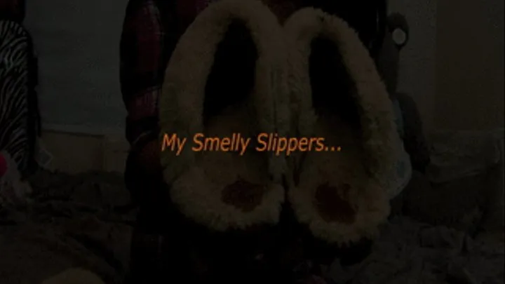 Smell My Slippers