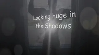 Looking Huge in the Shadows