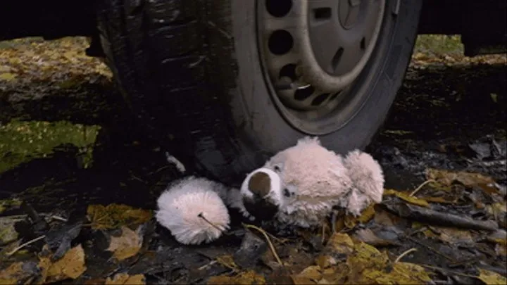 Your beloved teddy is destroyed under my muddy tires