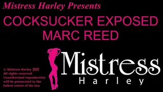 Cocksucker Exposed Marc Reed