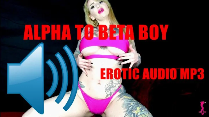 From Alpha to Beta Boy AUDIO MP3