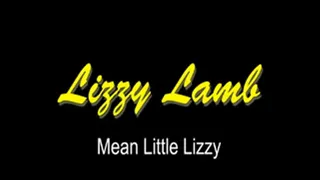 Mean Little Lizzy