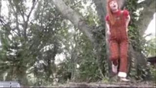 Hanging From A Tree by My Wedgied Overalls