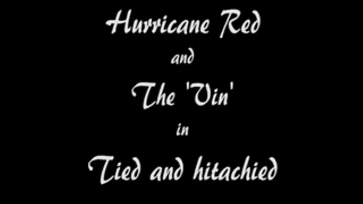 W100151 Hurricane Red and the Vin in Tied and hitachied