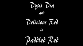 00015 Dysis Dia paddles the beautiful Delicious Red