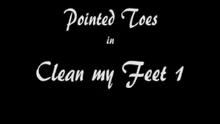 00060 Ballerina Point toes and feet get exercised and a cleaning 1 of 3