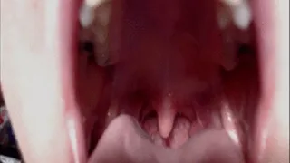 Mouth