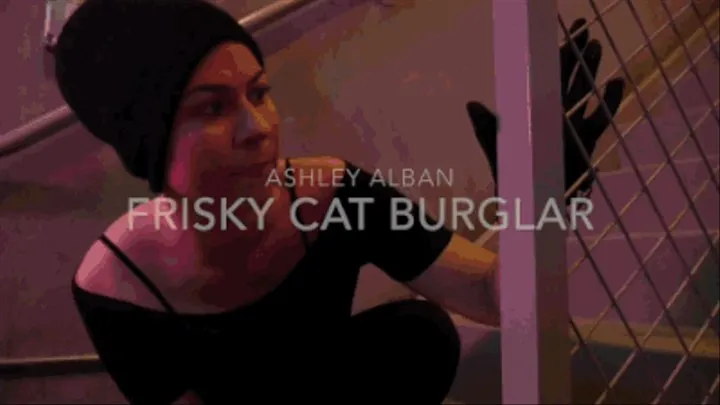 Frisky Cat Burglar