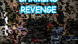 Fat Shaming Revenge