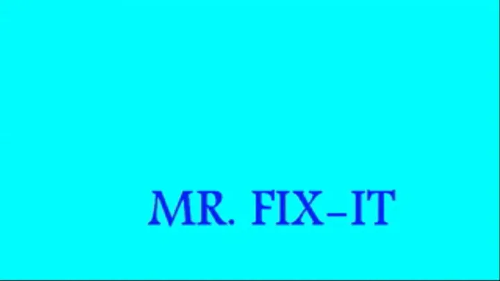 Mr. Fix It